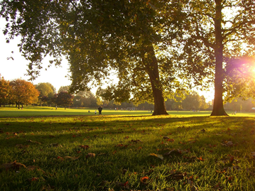 Southwark Park 2